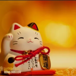 Avatar người đánh giá