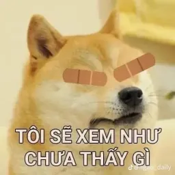 Avatar người đánh giá