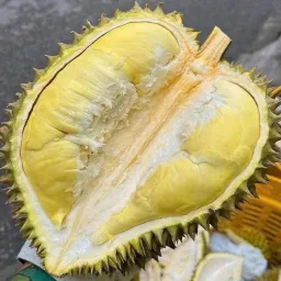 Avatar người đánh giá