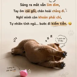 Avatar người đánh giá
