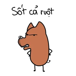Avatar người đánh giá