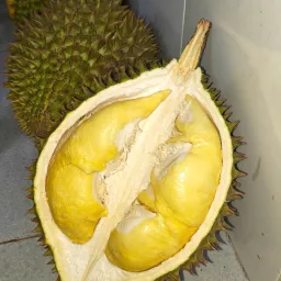 Avatar người đánh giá