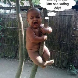Avatar người đánh giá