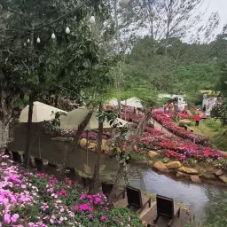 Avatar người đánh giá