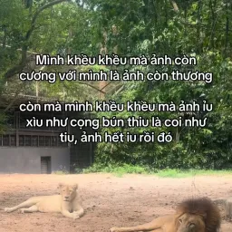 Avatar người đánh giá