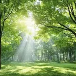 Avatar người đánh giá