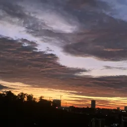 Avatar người đánh giá